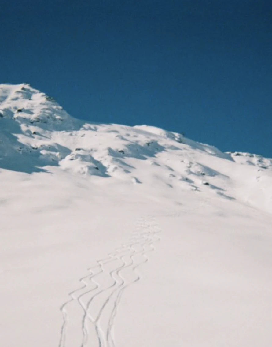 Traces de ski dans la neige, sous un ciel bleu